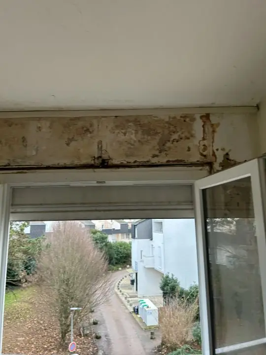 Intervention DFT pour localiser une fuite toiture