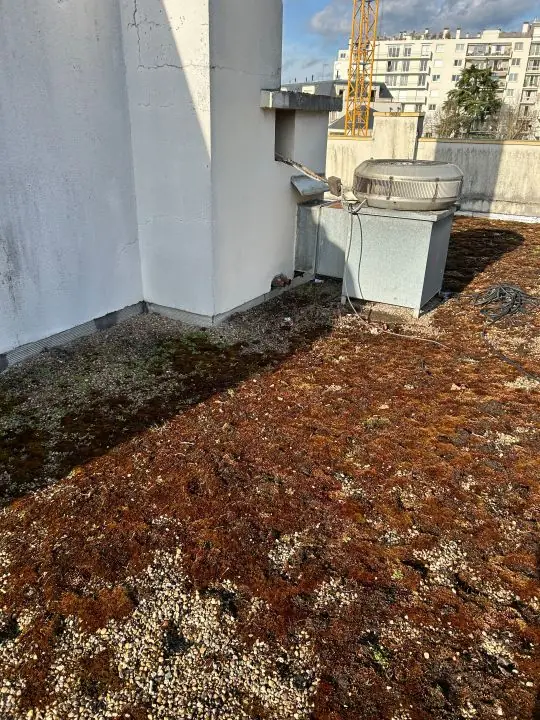 Toiture terrasse inspectée lors d'une recherche d'infiltration